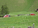 bild (17)